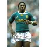 Lwazi Mvovo Signed 8x12 Springbok's Rugby Photograph